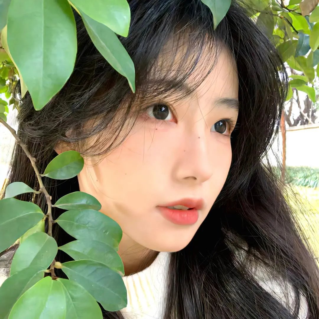 火红的青春